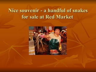 Nice souvenir - a handful of snakes for sale at Red Market  