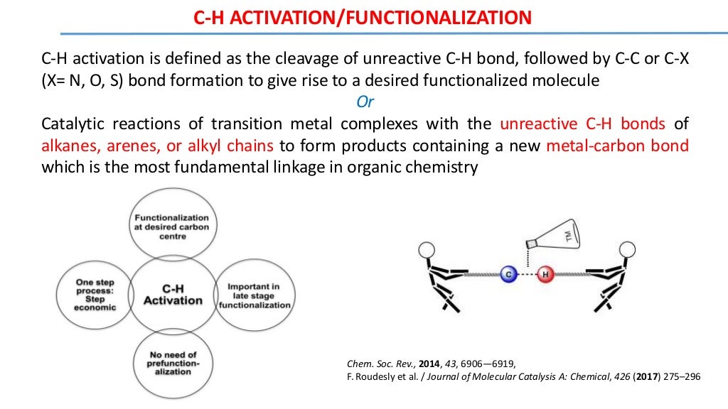 CH Activation and Functionalization