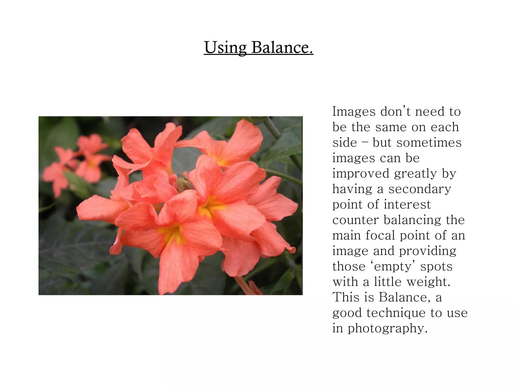 Using Balance. Images don’t need to be the same on each side – but sometimes images can be improved greatly by having a secondary point of interest counter balancing the main focal point of an image and providing those ‘empty’ spots with a little weight.  This is Balance, a good technique to use in photography.  