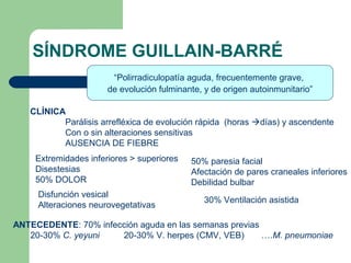 SÍNDROME GUILLAIN-BARRÉ
                       “Polirradiculopatía aguda, frecuentemente grave,
                      de evolución fulminante, y de origen autoinmunitario”

   CLÍNICA
          Parálisis arrefléxica de evolución rápida (horas días) y ascendente
          Con o sin alteraciones sensitivas
          AUSENCIA DE FIEBRE
    Extremidades inferiores > superiores   50% paresia facial
    Disestesias                            Afectación de pares craneales inferiores
    50% DOLOR                              Debilidad bulbar
     Disfunción vesical
                                              30% Ventilación asistida
     Alteraciones neurovegetativas

ANTECEDENTE: 70% infección aguda en las semanas previas
   20-30% C. yeyuni   20-30% V. herpes (CMV, VEB)       ….M. pneumoniae
 