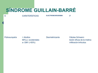 SÍNDROME GUILLAIN-BARRÉ
S                CARATERÍSTICAS        ELECTRONEUROGRAMA   P




Polineuropatía   > Adultos             Desmielinizante     Células Schwann
                 90% p. occidentales                                  d
                                                           lesión difusa de la mielina
                                                                      e
                 a- GM1 (<50%)                             infiltración linfocitos
                                                                      s
                                                                      m
                                                                      i
                                                                      e
                                                                      l
                                                                      i
                                                                      n
                                                                      i
                                                                      z
                                                                      a
                                                                      n
                                                                      t
                                                                      e
 