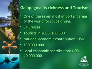 Gal ápagos: its richness and Tourism One of the seven most important areas of the world for scuba diving. 84 Cruises  Tourists in 2005: 108.600 National economic contribution: USD 130.000.000 Local economic contribution: USD 40.000.000 © CI. 2006  Juan Diego Pérez (1y 2), Murray Cooper (3), Sterling Zumbrunn (4).  