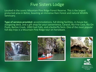 Five Sisters Lodge Located in the scenic Mountain Pine Ridge Forest Reserve. This is the largest protected area in Belize, boasting an immense Rain Forest and natural Wildlife Sanctuary.  Type of services provided:  accommodations, full dining facilities, in-house bar, stargazing deck, and a gift shop for your convenience, Caracol, Rio Frio Cave, Rio On Pools, Barton Creek, 1000 Foot Falls, and a butterfly farm. One of the most popular full-day trips is a Mountain Pine Ridge tour on horseback. 