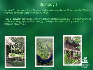 duPlooy's Located 5 miles away from Western Highway heading Belize City get on the Western Highway and head west for about 72 miles.  Type of services provided:  accommodations, Restaurants &  bar, Birding, Swimming Pools, canoeing , spectacular caves, go birding or horseback riding across the Belizean countryside.  