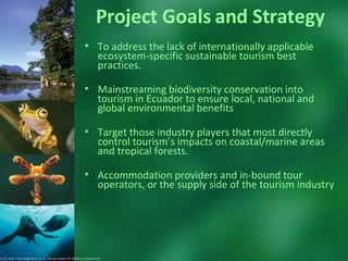 Project Goals and Strategy To address the lack of internationally applicable ecosystem-specific sustainable tourism best practices. Mainstreaming biodiversity conservation into tourism in Ecuador to ensure local, national and global environmental benefits Target those industry players that most directly control tourism’s impacts on coastal/marine areas and tropical forests.  Accommodation providers and in-bound tour operators, or the supply side of the tourism industry © CI. 2006  Juan Diego Pérez (1y 2), Murray Cooper (3), Sterling Zumbrunn (4).  
