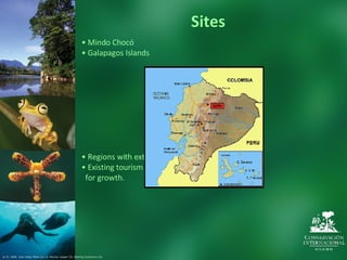 Sites © CI. 2006  Juan Diego Pérez (1y 2), Murray Cooper (3), Sterling Zumbrunn (4).  •  Mindo Chocó •  Galapagos Islands •  Regions with extensive biodiversity to protect. •  Existing tourism infrastructure with potential for growth. 