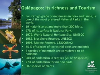 Gal ápagos: its richness and Tourism For its high grade of endemism in flora and fauna, is one of the most prefered National Parks in the world. 19 major islands and more than 200 islets. 97% of its surface is National Park. 1979, World Natural Heritage Site , UNESCO 1985, Biosphere Reserve, UNESCO 1998, Marine Reserve. 133000km2 85 % of species of terrestrial birds are endemic  6 species of mammals are considered to be endemic.   98% of endemism in reptiles (20 of 22 species) 27% of endemism for marine birds 607 species of plants  © CI. 2006  Juan Diego Pérez (1y 2), Murray Cooper (3), Sterling Zumbrunn (4).  