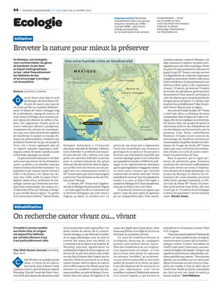 44       Courrier international | n° 1092 | du 6 au 12 octobre 2011

                                                                                                          Organisme onusien Désormais,                       écosystémiques –, fondé


Ecologie                                                                                                  la biodiversité aussi a son groupe
                                                                                                          d’experts. Parrainé par l’ONU,
                                                                                                          le projet IPBES – plate-forme
                                                                                                          intergouvernementale
                                                                                                                                                             sur le modèle du Giec,
                                                                                                                                                             a été concrétisé cette semaine
                                                                                                                                                             à Nairobi, au Kenya.
                                                                                                                                                             Davantage d’informations
                                                                                                                                                             sur http://ipbes.net.
                                                                                                          sur la biodiversité et les services


 Initiative

Breveter la nature pour mieux la préserver
Au Mexique, une biologiste                                                                                                                                         certaines nations, comme le Mexique, ont
veut commercialiser les gènes                      Une zone humide riche en biodiversité                                                                           déjà commencé à explorer les pistes envi-
de bactéries vivant dans                                                                                                Sierra                                     sageables pour une mise en pratique. Parmi
un bassin hydrographique.                                                                                            de Menchaca                                   les gènes les plus prometteurs découverts
Le but : aider financièrement                               MEXIQUE                                                                                                jusqu’ici par Mme Souza, ceux qui servent
les habitants du lieu                                                                                                                                              à la dégradation de composés organiques
et les encourager à protéger                             É TAT                                                                                                     complexes pourraient s’avérer utiles pour
                                                                                                              Cuatro Ciénegas
cet écosystème.                                       DE COAHUILA                                                                                                  la bioremédiation [la décontamination de
                                                                                                                                                                   milieux pollués grâce à des organismes
                                                                                                                           Bassin de                               vivants]. D’autres, permettant l’emploi
Nature (extraits) Londres                                                                                                                                          de formes de phosphore généralement
                                                                                                                    Cuatro Ciénegas
                                                                                                                                                                   inexistantes à l’état naturel, serviraient à
           ans le désert situé dans le nord                                                                                                                        créer des plantes qui n’auraient pas besoin
  D        du Mexique, des chercheurs s’ef-                                                                                                                        d’engrais pour prospérer. Ce dernier type




                                                                                                                                            S
                                                                                                                                            Sie
           forcent de sauver une oasis de                                                                                                                          de gènes fera probablement l’objet du pre-

                                                                                                     Si




                                                                                                                                             rra
vie avant qu’elle ne s’assèche déﬁnitive-                                                                                                                          mier brevet déposé pour la région.
                                                                                                       e
                                                                                                       er
                                                                                                         r
                                                                                                         ra




                                                                                                                                                  d
                                                                                                                                                  de
ment. Le bassin de Cuatro Ciénegas, long                                                                                                                                Au cours de l’année écoulée, Mme Souza




                                                                                                                                                   la
                                                                                                           Sa
                                                                                                            a
de 40 kilomètres, regorge de sources, de                                                                                                                           a visité huit ejidos, ou divisions de terres




                                                                                                                                                   Pu
                                                                                                              n




                                                                                                                                                    u
                                                                 ÉTATS-UNIS
                                                                                                               Ma




                                                                                                                                                       rís
cours d’eau et d’étangs, dont certains exis-                                                                                                                       communales, dans la région de Cuatro Cié-




                                                                                                                                                        i
                                                                                                                                                        im
tent depuis des dizaines de milliers d’an-                                                                        r
                                                                                                                  rc                                               negas, aﬁn de leur expliquer ses intentions.




                                                                                                                                                         a
                                                                                                                                                         a
                                                                                                                   o
                                                                                                                   os
nées. Des organismes vivants qu’on ne                                    Cuatro Ciénegas                                                                           Six d’entre elles ont accepté de laisser la
trouve nulle part ailleurs y prospèrent,                                                                                               Périmètre                   chercheuse prélever des échantillons de
notamment des colonies de cyanobacté-                        MEXIQUE                                                                   de la réserve               vie microbienne sur leur territoire, avec la
ries [une sous-classe de bactéries capables                                                                                                                        promesse d’une future redistribution
de transformer la lumière en énergie chi-                       Mexico                                                                                             ﬁnancière. Il faudra encore convenir du
                                                                                       Source : College of Natural Sciences,                   10 km
mique par photosynthèse] similaires aux             1 000 km                           University of Texas (Austin)                                                pourcentage des bénéﬁces revenant aux
premières formes de vie qui ont peuplé la                                                                                                                          communautés, lesquelles décideront elles-
Terre. On y trouve également plus de              biologiste moléculaire à l’Université                  protocole vise d’une part à réglementer                   mêmes de l’usage des fonds. Mme Souza
70  espèces animales aquatiques endé-             autonome nationale du Mexique, à Mexico,               l’accès des scientiﬁques aux ressources                   espère que ceux-ci serviront à la construc-
miques, comme Terrapene coahuila, la seule        tente d’aborder le problème autrement.                 génétiques de la nature et d’autre part à                 tion d’écoles ou à celle de serres contri-
tortue boîte aquatique au monde.                  En juin dernier, elle a obtenu, non sans               favoriser une distribution équitable des                  buant à la préservation de l’eau.
     Le gouvernement mexicain a créé dans         peine, des autorités fédérales un permis               revenus engrangés grâce à ces recherches                       Rien ne garantit que la vague pro-
cette zone une réserve de 850 kilomètres          pour la commercialisation des gènes                    aux populations locales. Il déﬁnit les poli-              messe de potentiels gains ﬁnanciers
carrés. La pêche y est interdite mais pas         utiles qu’elle découvrirait dans la région.            tiques ou les réglementations nationales                  constitue une motivation suﬃsamment
d’autres formes d’activités humaines. “La         Les proﬁts tirés des brevets seront par-               que les pays signataires s’engagent à mettre              forte pour mettre un terme à l’exploita-
population locale ramasse toujours du bois à      tagés avec les communautés locales et                  en œuvre pour s’assurer que l’activité                    tion excessive de la nappe phréatique. Les
brûler et des plantes à cire. Quant aux che-      Mme Souza espère que cela les encouragera              commerciale est menée selon des “termes                   projets du Mexique en matière de res-
vaux, leur crottin souille les nappes d’eau”,     à préserver l’eau du bassin au lieu de l’uti-          mutuellement convenus” avec les populations               tauration des zones humides prennent
déplore James Elser, professeur de lim-           liser pour l’élevage.                                  locales. A ce jour, 41 Etats l’ont signé, y               enﬁn forme, quoique lentement, se féli-
nologie [science qui s’intéresse aux éten-            Ce faisant, Mme Souza teste l’applica-             compris le Mexique et l’Union européenne,                 cite tout de même Mme Souza. En atten-
dues d’eau continentales : lacs, mares, etc.]     tion par le Mexique du protocole de Nagoya             mais pas les Etats-Unis ni la Chine.                      dant qu’ils portent leurs fruits, elle veut
à l’université d’Etat de l’Arizona, à Tempe,      – un traité signé lors de la Convention sur                Le protocole n’entrera en vigueur que                 croire que sa “révolution biotechnologique
et qui travaille dans la région. “La gestion      la diversité biologique qui s’est tenue à              quatre-vingt-dix jours après la signature                 en faveur des populations” servira la bonne
de la réserve laisse à désirer.” Valeria Souza,   Nagoya, au Japon, en octobre 2010. Le                  par un cinquantième pays. Pour autant,                    cause. Nicola Jones


 Réhabilitation

On recherche castor vivant ou… vivant
Considéré comme nuisible                          ils lui seraient bien utiles aujourd’hui. Une          causer des dégâts dans l’agriculture. Dans                multiplication d’animaux comme l’élan
aux Etats-Unis, le rongeur                        petite colonie de castors, dit-il, construi-           beaucoup d’Etats, il est légal de les tirer au            et le couguar.
est aujourd’hui défendu                           rait des barrages, ce qui élèverait la surface         fusil dans les propriétés privées.                            “Nous nous sommes baptisés les ‘Partisans des
par certains éleveurs à qui                       de la nappe phréatique sous ses prés et                    Or, selon de nombreux éleveurs et                     castors’, car nous considérons que ces rongeurs
il est particulièrement utile.                    créerait des mares pour son bétail. La                 écologistes, beaucoup de campagnes                        restaurent mieux la nature que les hommes”,
                                                  Commission de la chasse et de la pêche du              auraient précisément besoin aujour-                       indique Celeste Coulter, intendante de
                                                  Wyoming nettoyant régulièrement les                    d’hui des compétences de ces rongeurs.                    North Coast Land Conservancy, une asso-
The Wall Street Journal (extraits)                canalisations d’égout de leurs rongeurs, cet           Leur argumentaire est simple : ce n’est                   ciation écologiste de Seaside (Oregon) qui
New York                                          éleveur de 64 ans s’est inscrit cette année            pas en tuant mais plutôt en capturant                     appelle les promoteurs à abandonner cer-
                                                  sur une liste d’attente dans l’espoir que les          ces animaux “nuisibles” qu’on permet-                     taines parcelles aux castors. “Nous pouvons
          lyde Woolery ne souhaite qu’une         autorités d’Etat lui procurent un ou deux              tra aux réserves naturelles et aux terres                 dépenser 200 000 dollars [147 000 euros] pour
  C       chose : le retour de ses castors.
          Son ranch, situé à Beaver Creek
                                                  castors vivants. Dans la région, les castors
                                                  ont en eﬀet toujours été chassés pour leur
                                                                                                         arables de prendre de la valeur, car grâce
                                                                                                         à eux elles disposeront de ressources en
                                                                                                                                                                   déposer du bois dans un cours d’eau ou y trans-
                                                                                                                                                                   porter des rondins à l’aide de câbles aﬁn de
[ruisseau Castor], près de Kinnear, dans le       fourrure ou considérés comme des ani-                  eau plus importantes. Leur retour                         retenir l’eau. Parfois ça marche, mais parfois
Wyoming (Etat de l’ouest des Etats-Unis),         maux nuisibles, accusés de bloquer l’écou-             contribue à restaurer l’habitat des poissons              pas. Alors qu’avec une colonie de castors ça
n’en abrite plus depuis des décennies, mais       lement dans les canaux d’irrigation et de              et le couvert végétal, ce qui favorise la                 marche toujours.” Joel Millman
 