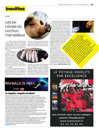 Courrier international | n° 1092 | du 6 au 12 octobre 2011   59

 Insolites
upbybg




Les six                                                                                            souﬀert d’un grave traumatisme après
                                                                                                    être resté enseveli pendant trente-six




                                                                                                AFP
                                                                                                    jours, et il a 5 ans, soit l’équivalent de

clones du                                                                                           60 ans pour un être humain. “Mais le
                                                                                                    cochon merveilleux nous a encore sur-
                                                                                                    pris”, s’enthousiasme le chercheur. Ce

cochon                                                                                             n’est donc pas pour son patrimoine
                                                                                                  génétique, mais en raison de sa célébrité,




                                                                                                                                                 DR
                                                                                                 que Zhu Jianqiang a été cloné : il s’agit de

merveilleux                                                                                    promouvoir la technique du clonage.
                                                                                               En 2008, les internautes avaient élu Zhu




                                                                                                                          in ctu té e le plu on es s qu ani . Ou un che
                                                                                                                                e l me lle Ge us ep u up dib le l t
                                                                                                                                                                         us
                                                                                                                              qu le A r ig éc ge dr au e po
                                                                                               Jianqiang numéro un parmi les dix ani-




                                                                                                                                   a T nt m or q tif ltr èd le aï
                                                                                                                             a t é qu is s s m le t c s cé ni
                                                                                                                            di el en D s a t r sa a n tr s
                                                                                               maux ayant le plus ému la Chine, en




                                                                                                                               ce pli fo ien un es, en ien lan ne
                                                                                                                                  ex eux ch it à îtr lim s ch é a le u
                                                                                               l’occurrence grâce à sa combativité,




                                                                                                                                             de écr spo rs. m son e.
                                                                                                                                        “L nt d les m t un on d Ne pp ne




                                                                                                                                      ri su agn g S ue s à aso es
                                                                                                                                          ne es , le de s hu es iqu
     Un cochon chinois vient d’être cloné,     leur père, ce héros, possédant comme lui        souligne le quotidien China Daily.




                                                                                                                                                G ans t e Diff ain s
                                                                                                                                     d es ro a a e stl el
                                                                                                                                          o r an ti e. n a ni




                                                                                                                                                                    sé ,
                                                                                                                                                  en a st u s”
                                                                                                                                        bu r l e an le d n
                                                                                                                                            pa ant ten tair u’o ca
annonce l’agence China News, mais pas          une marque de naissance entre les yeux,         Mais après son accession à la




                                                                                                                                               v ’in ici q e
n’importe lequel : celui-ci est un survivant   signe selon certains d’“une force et [d’] une   célébrité, l’animal a été




                                                                                                                                                  à l ubl t ce enc




                                                                                                                                                                 ns
du tremblement de terre de 2008 dans la        vigueur bien plus grandes que celles d’autres   vendu à un conserva-




                                                                                                                                                               ie
                                                                                                                                                     p es u




                                                                                                                                                        e. ich
province du Sichuan, retrouvé après avoir                                                      teur de musée et son




                                                                                                                                                        C’ réq




                                                                                                                                                     èv utr
passé un mois enfoui sous les                                                                  embonpoint et sa




                                                                                                                                                          F
décombres.                                                                                     mauvaise humeur sont
     Zhu Jianqiang, le                                                                         devenus proverbiaux.
“porc à la volonté de fer”,                                                                    Selon le personnel du musée,
était devenu un sym-                                                                           Zhu prend du poids et devient
                                                                                          DR




bole de la résistance                                                                          plus paresseux de jour en jour. Les
nationale après sa                                                                             employés ont de plus en plus de mal
terrible épreuve. Cet                                                                          à le convaincre de s’éloigner de la porte
animal de 150 kilos aurait                                                                     pour laisser entrer les visiteurs. Espérons
survécu dans les ruines de sa                                                                  en tout cas que les petits clones du “cochon
porcherie en mangeant du charbon                                                               merveilleux” ne connaîtront pas la même
de bois et en buvant de l’eau de pluie, et     jeunes porcs”. Les clones de Zhu Jianqiang      épreuve que lui. WantChinaTimes, Taipei
était “maigre comme une chèvre” lors de        seront probablement envoyés deux par
son sauvetage.                                 deux à un musée et un institut de recherche
     Des chercheurs de Shenzhen l’ont uti-     génétique. Le Dr Du Yutao, qui a dirigé le
lisé pour une expérience de clonage qui a      projet de clonage, a déclaré au Sunday
donné naissance à six porcs possédant le       Morning Post de Hong Kong que l’animal
même ADN que Zhu. Les porcelets res-           était a priori un candidat peu prometteur :
sembleraient comme deux gouttes d’eau à        il avait été castré avant le séisme, avait




A requin, requin et demi
Charles Wickersham, 21 ans, a été attaqué par un requin en Floride.
Et c’est tout ce qu’il mérite, clame l’association de défense des animaux Peta
(Pour une éthique dans le traitement des animaux), avec cette afﬁche portant
le slogan “La rançon, c’est l’enfer”, “Devenez végétalien”. Le jeune homme
a été mordu à la cuisse alors qu’il pêchait au harpon. Or “le plus grand prédateur
sur terre, ce n’est pas le requin, mais l’homme. Les Américains à eux seuls
tuent des milliards d’animaux pour se nourrir chaque année, et notamment
des poissons. Et alors que les requins blancs sont naturellement carnivores,
les humains peuvent choisir ce qu’ils mangent”, a déclaré le porte-parole
de l’association, célèbre pour ses campagnes provocatrices.
Les militants de Peta entendaient placarder cette afﬁche sur les lieux mêmes
de l’attaque. Ils n’ont pas trouvé d’afﬁcheur prêt à les suivre.
“Je ne vais pas m’abaisser à leur répondre, s’ils ne veulent pas manger de viande
ni de poisson, ça les regarde”, s’émeut la mère de Charles Wickersham, dont la
cuisse a été recousue de 800 points de suture.
Cinq personnes par an en moyenne sont tuées par des requins, mais 70 millions
de requins sont pêchés chaque année, note George Burgess, de l’université
de Floride. “En fait, du point de vue de la vie animale, la mer est très
miséricordieuse”, analyse le chercheur, qui publie chaque année un rapport
sur les attaques des dents de la mer, l’“International Shark Attack File”.
 Daily Mail, Londres
 