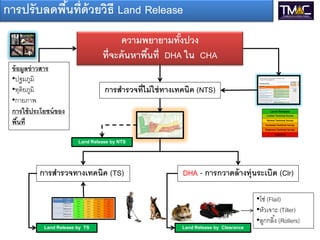 การปรั บลดพืนที่ด้วยวิธี Land Release
            ้
                                         ความพยายามทังปวง
                                                        ้
                                   ที่จะค้ นหาพืนที่ DHA ใน CHA
                                                ้
 ข้ อมูลข่ าวสาร
 •ปฐมภูมิ
 •ทุติยภูมิ                        การสารวจที่ไม่ ใช่ ทางเทคนิค (NTS)
 •กายภาพ
 การใช้ ประโยชน์ ของ
 พืนที่
    ้

                         Land Release by NTS




          การสารวจทางเทคนิค (TS)                           DHA - การกวาดล้ างทุ่นระเบิด (Clr)

                                                                                      •โซ่ (Flail)
                                                                                      •หัวเจาะ (Tiller)
                                                                                      •ลูกกลิ ้ง (Rollers)
                       ตารางสุ่ม
            Land Release by TS                            Land Release by Clearance
 
