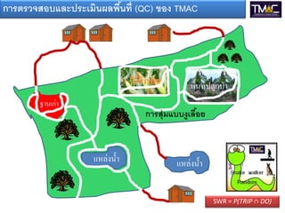 การตรวจสอบและประเมินผลพืนที่ (QC) ของ TMAC
                        ้




                                           พื้นที่ปลูกป่ า
       ฐานเก่า
                               การสุ่มแบบงูเลือย
                                              ้



                   แหล่งน้ า           แหล่งน้ า


                                                    SWR = P(TRIP ∩ DO)
 