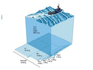 Oceanography Math Ocean, water and Seawater Oceanography | PPT