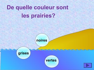 grises
vertes
noires
De quelle couleur sont
les prairies?
 