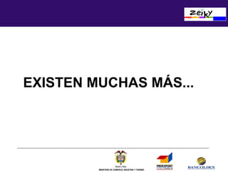 EXISTEN MUCHAS MÁS...

MINISTERIO DE COMERCIO, INDUSTRIA Y TURISMO

 