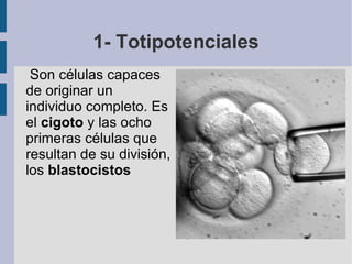 ¿Cuál es su utilidad?