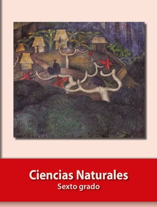 Libro ciencias naturales 6 grado-2022.pdf