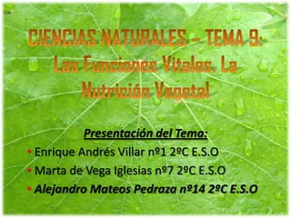 Presentación del Tema:
• Enrique Andrés Villar nº1 2ºC E.S.O
• Marta de Vega Iglesias nº7 2ºC E.S.O
• Alejandro Mateos Pedraza nº14 2ºC E.S.O
 