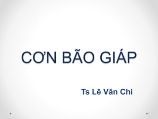 CƠN BÃO GIÁP
Ts Lê Văn Chi
1
 