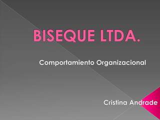 BISEQUE LTDA. Comportamiento Organizacional Cristina Andrade 