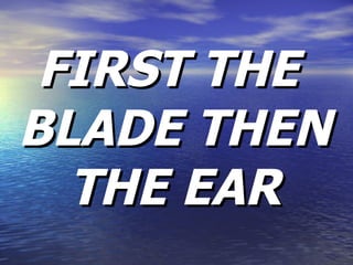 FIRST THE BLADE THEN THE EAR 