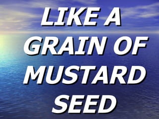 LIKE A GRAIN OF MUSTARD SEED 
