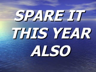 SPARE IT THIS YEAR ALSO 