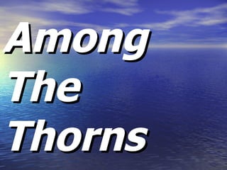 Among The   Thorns 