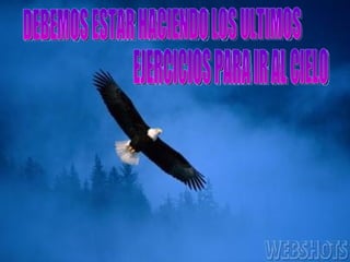 DEBEMOS ESTAR HACIENDO LOS ULTIMOS  EJERCICIOS PARA IR AL CIELO 