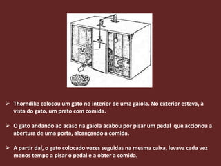  Thorndike colocou um gato no interior de uma gaiola. No exterior estava, à
  vista do gato, um prato com comida.

 O gato andando ao acaso na gaiola acabou por pisar um pedal que accionou a
  abertura de uma porta, alcançando a comida.

 A partir daí, o gato colocado vezes seguidas na mesma caixa, levava cada vez
  menos tempo a pisar o pedal e a obter a comida.
 