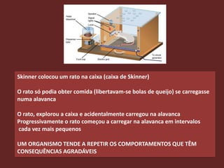 Skinner colocou um rato na caixa (caixa de Skinner)

O rato só podia obter comida (libertavam-se bolas de queijo) se carregasse
numa alavanca

O rato, explorou a caixa e acidentalmente carregou na alavanca
Progressivamente o rato começou a carregar na alavanca em intervalos
cada vez mais pequenos

UM ORGANISMO TENDE A REPETIR OS COMPORTAMENTOS QUE TÊM
CONSEQUÊNCIAS AGRADÁVEIS
 