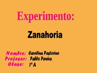 Experimento: Zanahoria Nombre:  Profesor: Clase: Carolina Pastorino Pablo Pereira 1º A 