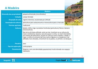 A Madeira
19
Madeira
Dimensão das propriedades: pequena dimensão (microfúndios)
Vedação: campo fechado
Ocupação do solo: regime intensivo, escalonada por al tude
Associação de culturas: policultura para autoconsumo e monocultura para o mercado
Técnicas agrícolas: tradicional
Culturas: batata, milho, trigo e produtos hor colas (policultura), ﬂores e banana
(monocultura).
Nas terras de baixa al tude, junto ao mar, localizam-se as culturas de
maior rendimento: banana, cana-de-açúcar e vinha; no nível intermédio,
em sistema de policultura, situam-se culturas como a batata, o feijão, o
trigo, o milho e as árvores de fruto como a ﬁgueira e a nespereira; nas
al tudes mais elevadas, encontram-se os pastos, os pinhais e os bosques.
Pecuária: aves
Tipo de exploração: conta própria
Povoamento: disperso, com uma densidade populacional muito elevada nos espaços
habitáveis.
 