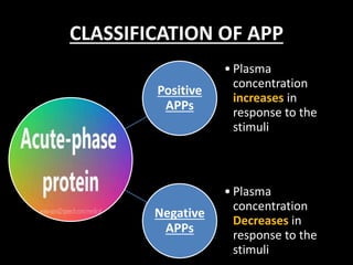 C  reactive protein