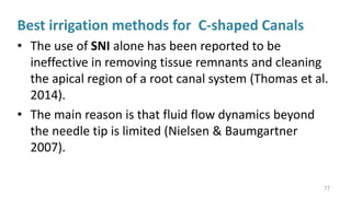 C- SHAPED CANALS pptx by DR. AMAL DEVADAS | PPTX