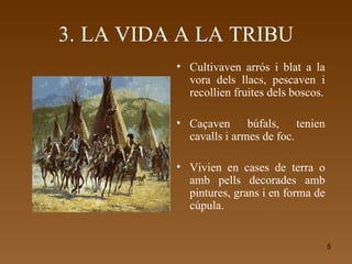 3.   LA VIDA A LA TRIBU Cultivaven arrós i blat a la vora dels llacs, pescaven i recollien fruites dels boscos. Caçaven búfals, tenien cavalls i armes de foc. Vivien en cases de terra o amb pells decorades amb pintures, grans i en forma de cúpula. 