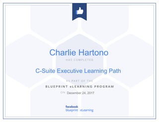 C-Suite Executive Learning Path
December 24, 2017
Charlie Hartono
 