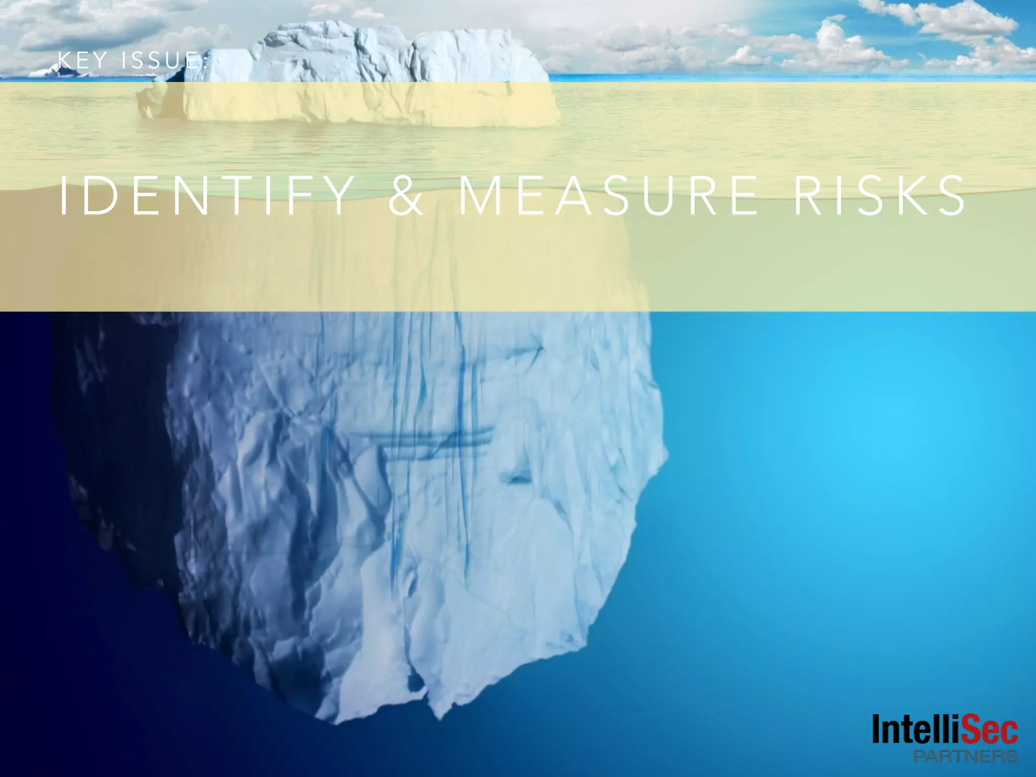 K E Y I S S U E :
I D E N T I F Y & M E A S U R E R I S K S
 