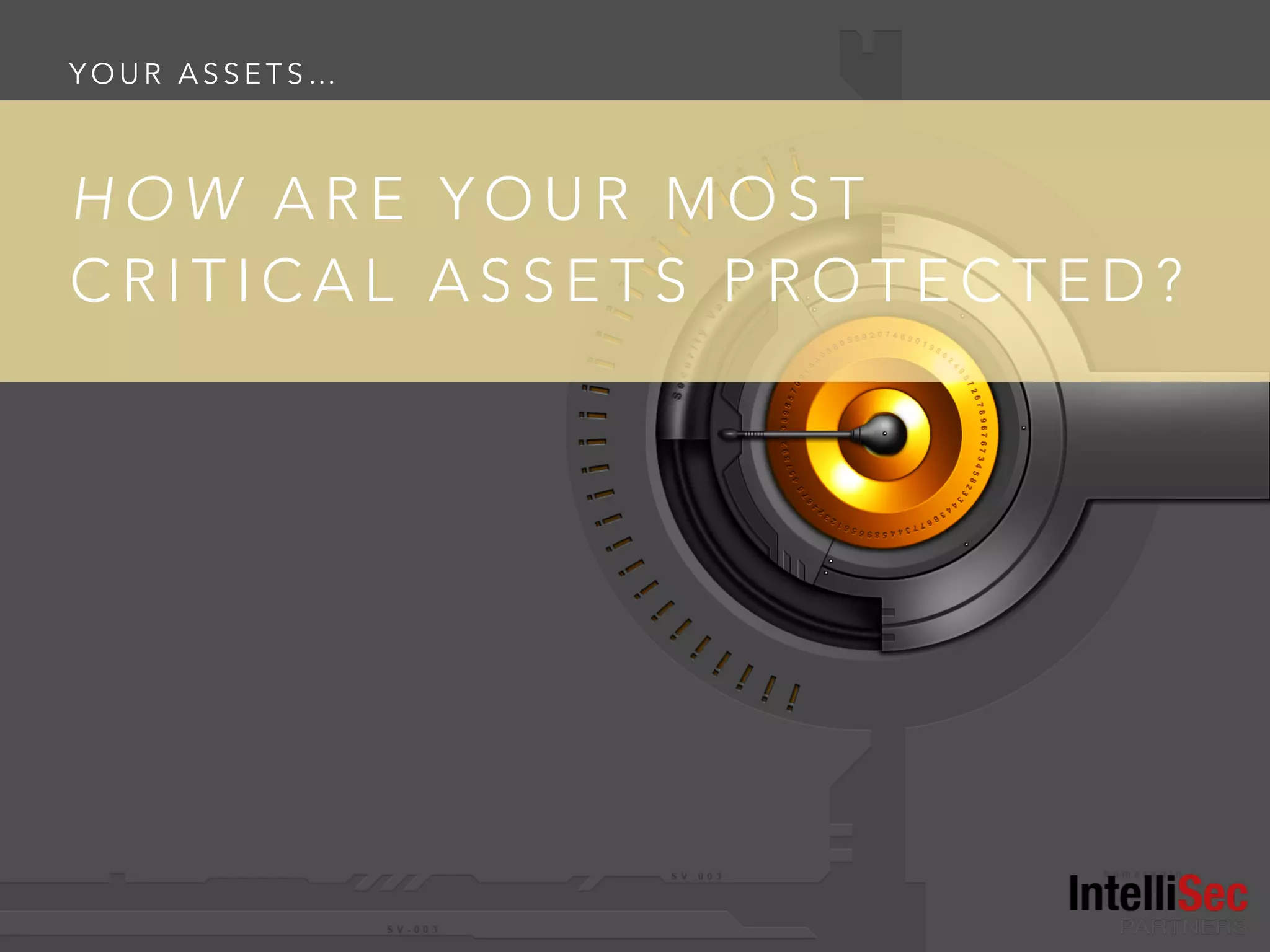 Y O U R A S S E T S …
H O W A R E Y O U R M O S T
C R I T I C A L A S S E T S P R O T E C T E D ?
 