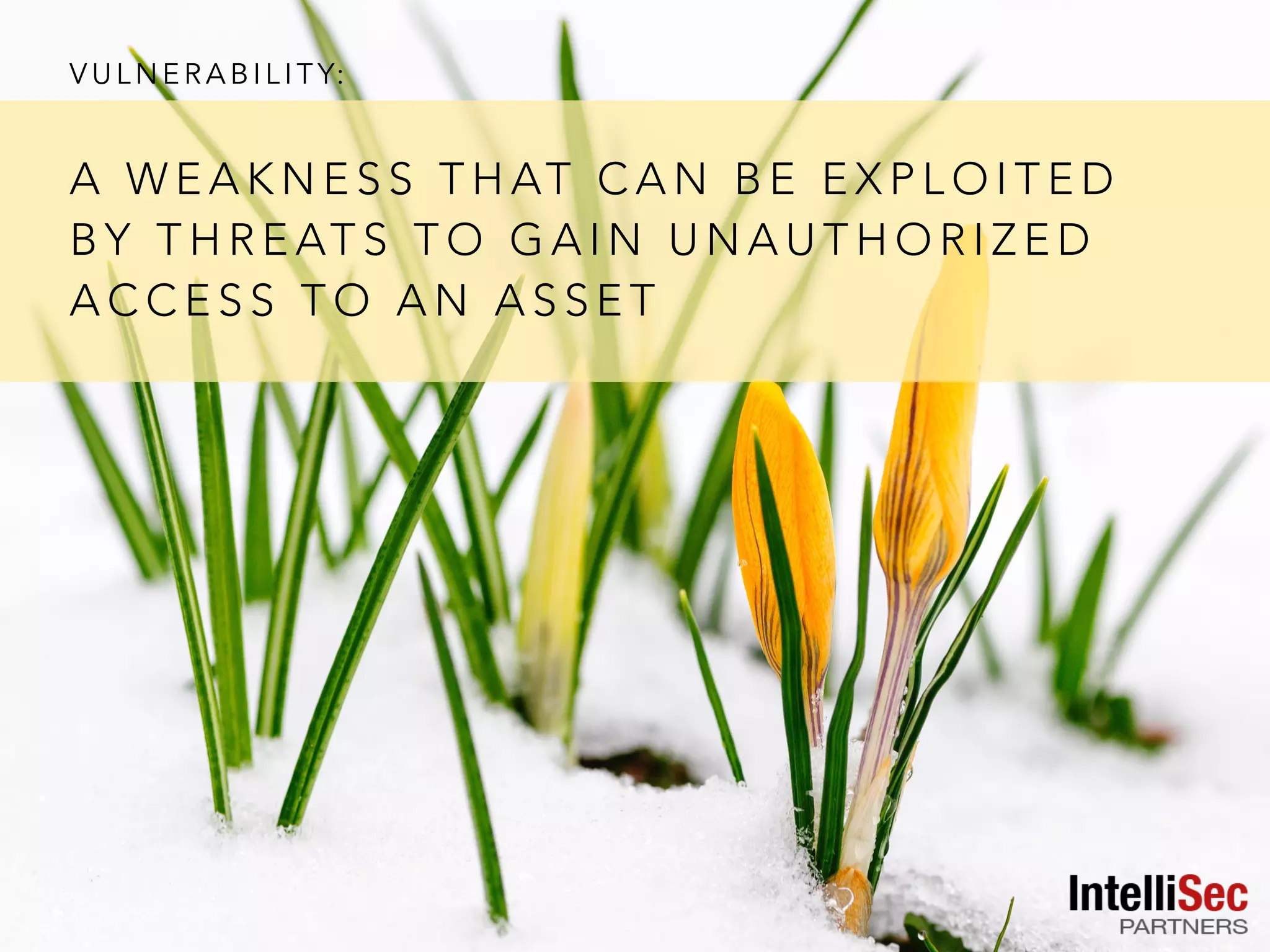 V U L N E R A B I L I T Y:
A W E A K N E S S T H AT C A N B E E X P L O I T E D
B Y T H R E AT S T O G A I N U N A U T H O R I Z E D
A C C E S S T O A N A S S E T
 