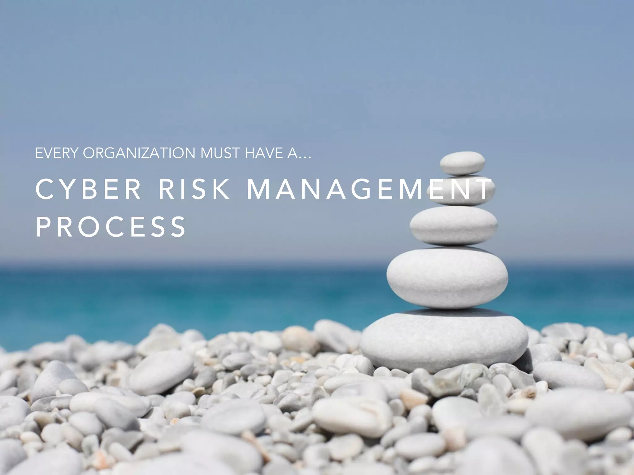 C Y B E R R I S K M A N A G E M E N T
P R O C E S S
EVERY ORGANIZATION MUST HAVE A…
 