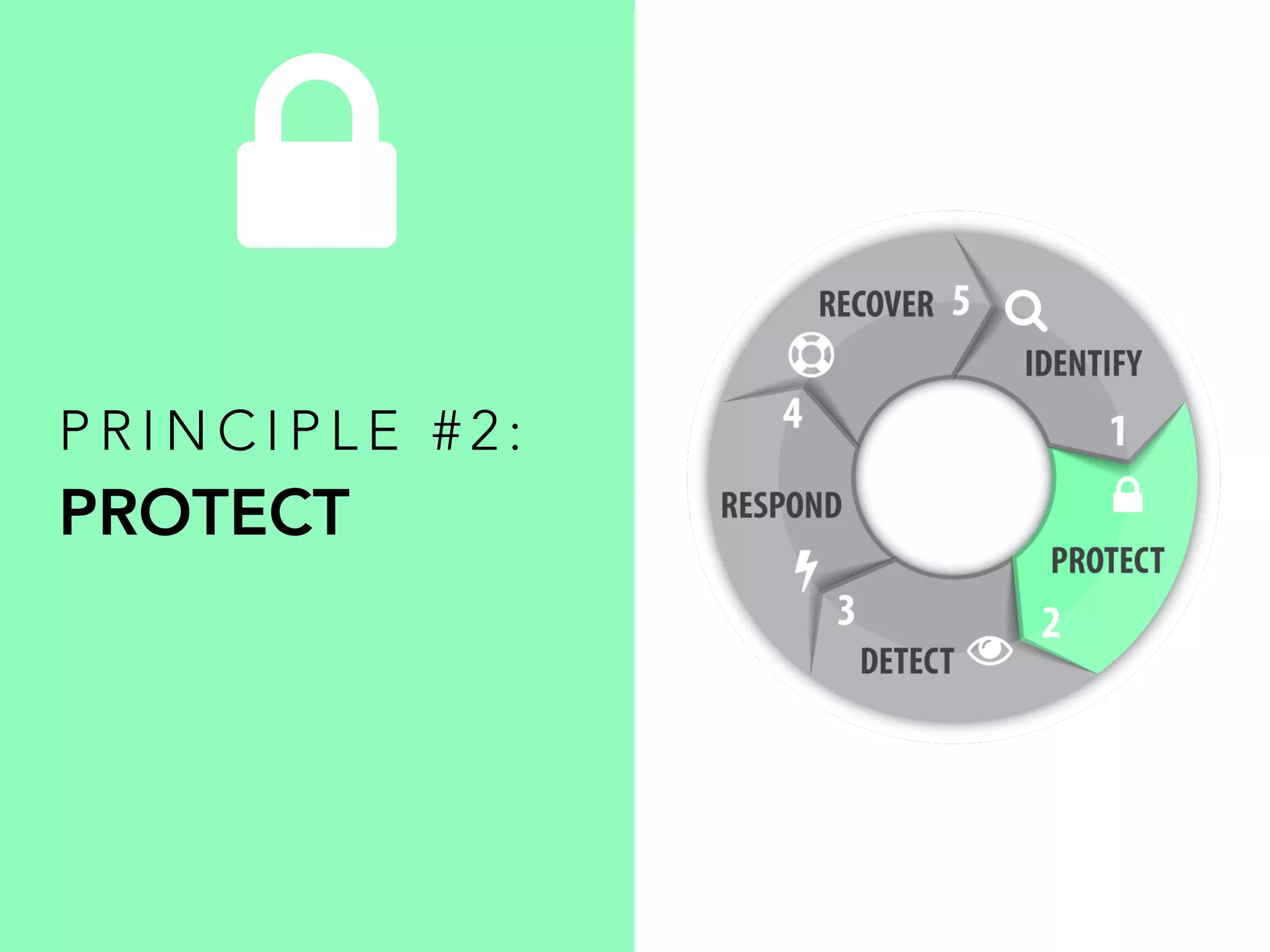 P R I N C I P L E # 2 :
PROTECT
 