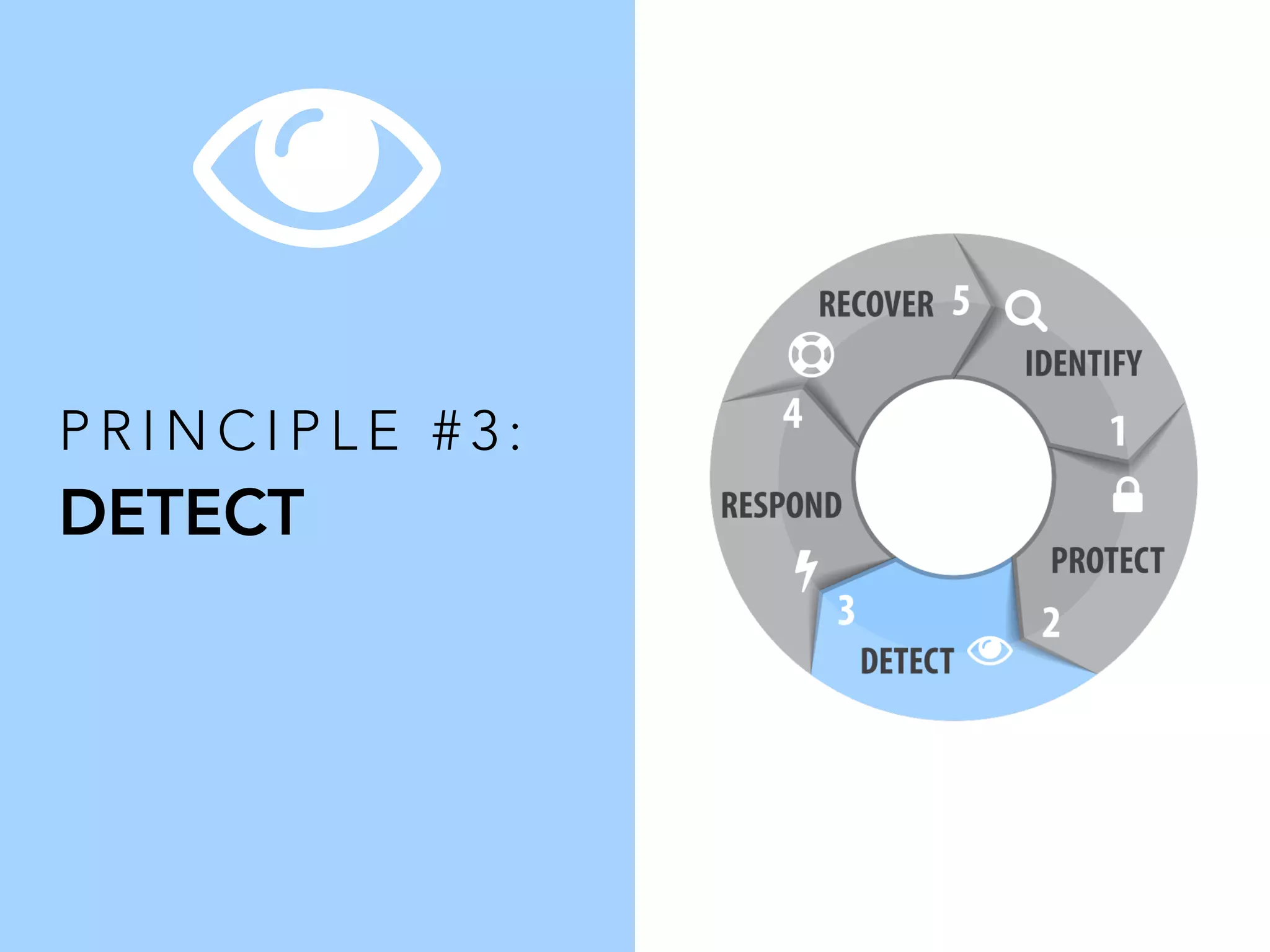 P R I N C I P L E # 3 :
DETECT
 