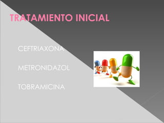 TRATAMIENTO INICIAL


 CEFTRIAXONA

 METRONIDAZOL

 TOBRAMICINA
 