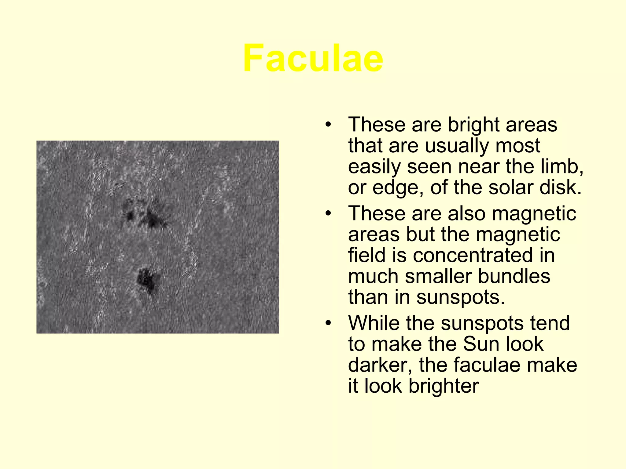 Faculae These are bright areas that are usually most easily seen near the limb, or edge, of the solar disk.  These are also magnetic areas but the magnetic field is concentrated in much smaller bundles than in sunspots.  While the sunspots tend to make the Sun look darker, the faculae make it look brighter 