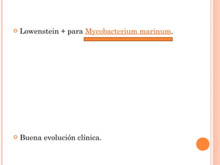    Lowenstein + para Mycobacterium marinum.




   Buena evolución clínica.
 