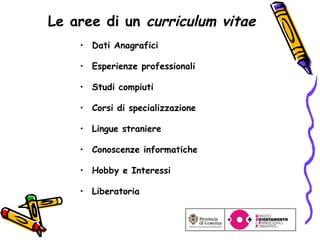Le aree di un  curriculum vitae Dati Anagrafici Esperienze professionali Studi compiuti Corsi di specializzazione Lingue straniere Conoscenze informatiche Hobby e Interessi Liberatoria 
