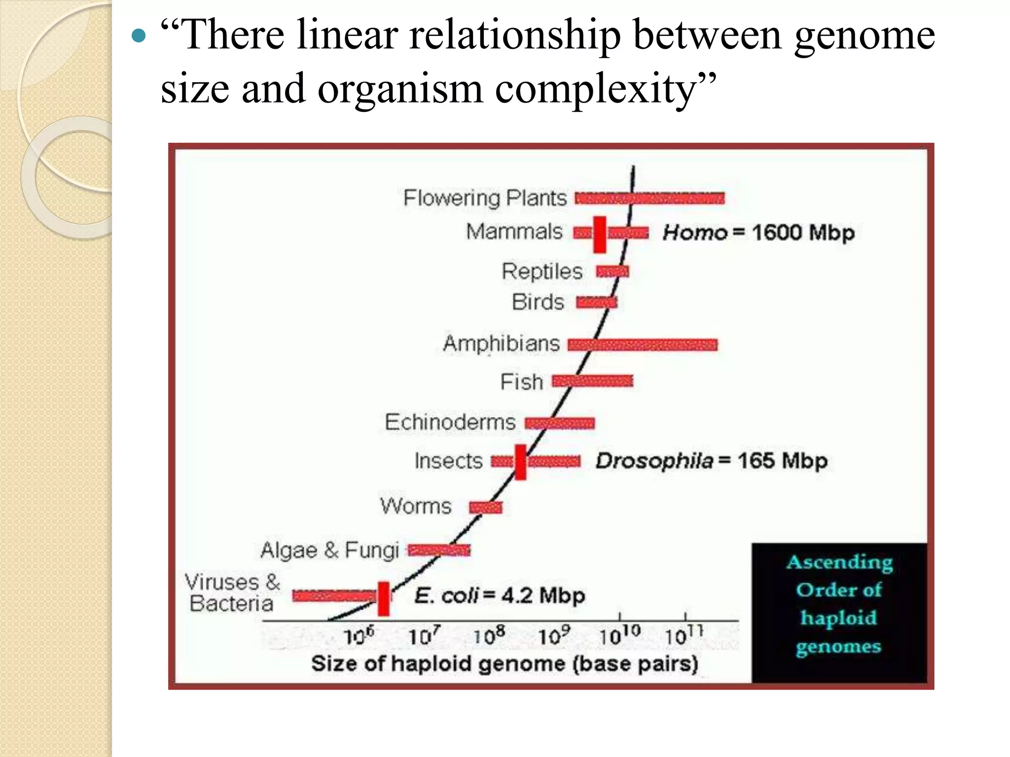 C value paradox | PPTX | Biological Sciences | Science