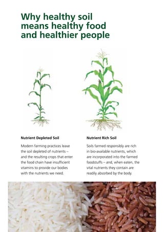 Why healthy soil
means healthy food
and healthier people
Nutrient Rich Soil
Soils farmed responsibly are rich
in bio-available nutrients, which
are incorporated into the farmed
foodstuffs – and, when eaten, the
vital nutrients they contain are
readily absorbed by the body.
Nutrient Depleted Soil
Modern farming practices leave
the soil depleted of nutrients –
and the resulting crops that enter
the food chain have insufﬁcient
vitamins to provide our bodies
with the nutrients we need.
 