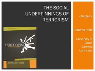 Chapter 2 
Babette Protz 
University of 
South 
Carolina 
Lancaster 
THE SOCIAL 
UNDERPINNINGS OF 
TERRORISM 
 