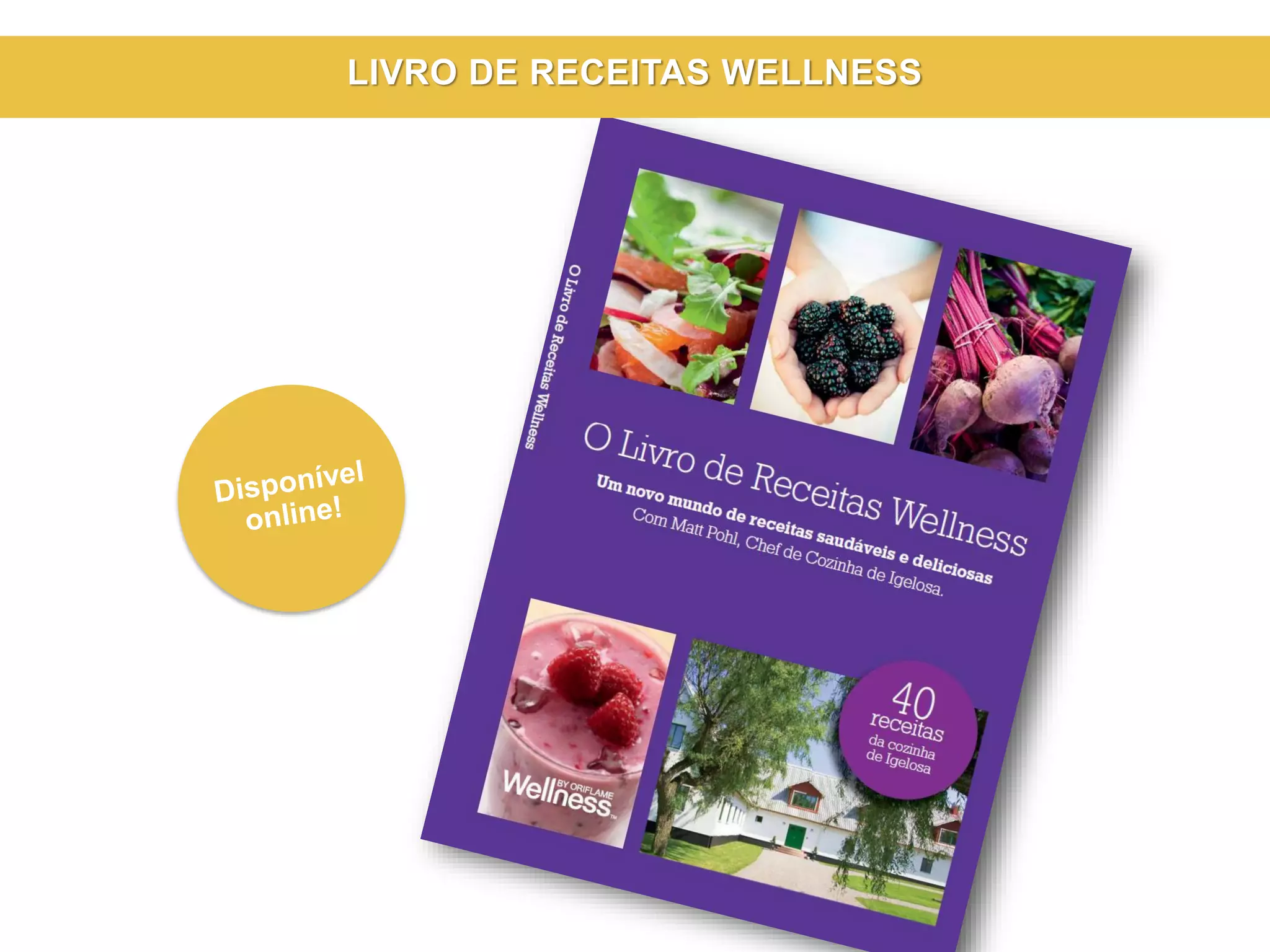 LIVRO DE RECEITAS WELLNESS
 